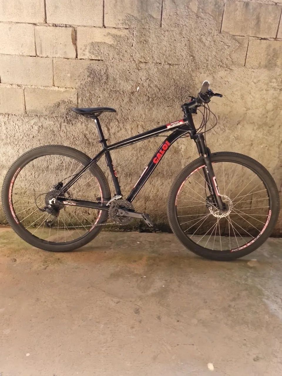 Bicicleta 