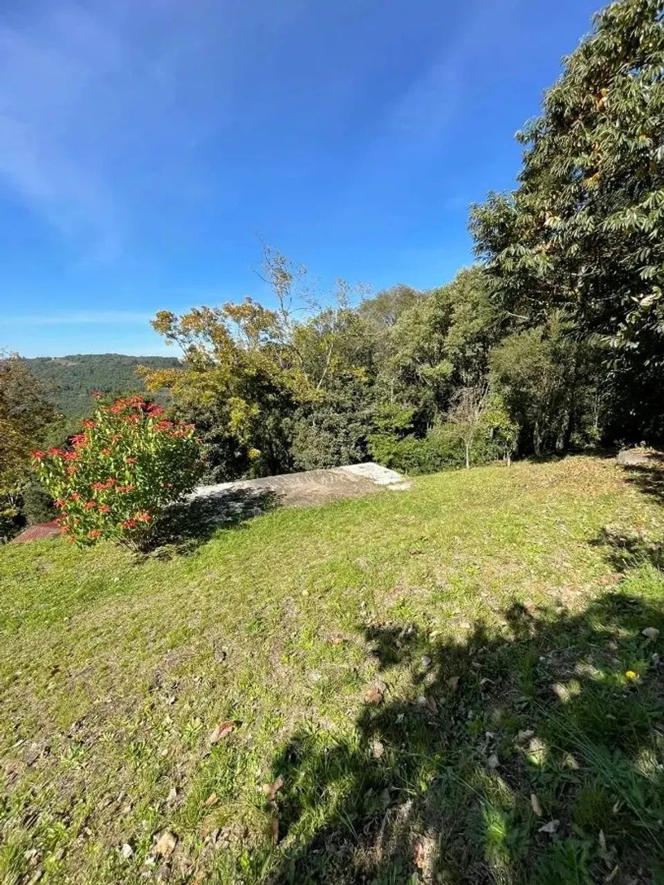 CAXIAS DO SUL - Terreno Padrão - LINHA 40 - Foto 3