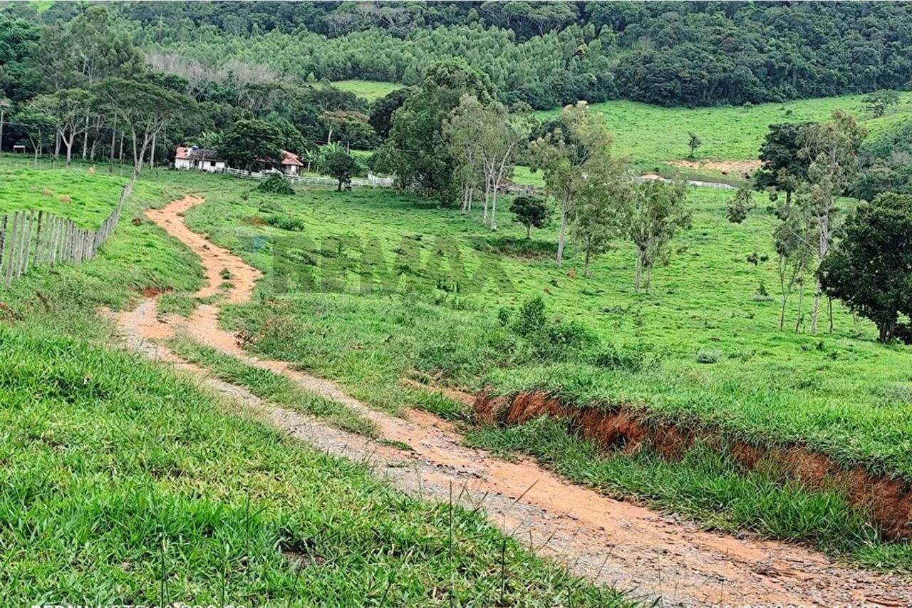 Fazenda dos Sonhos em MG: Propriedade à Venda! - Foto 4