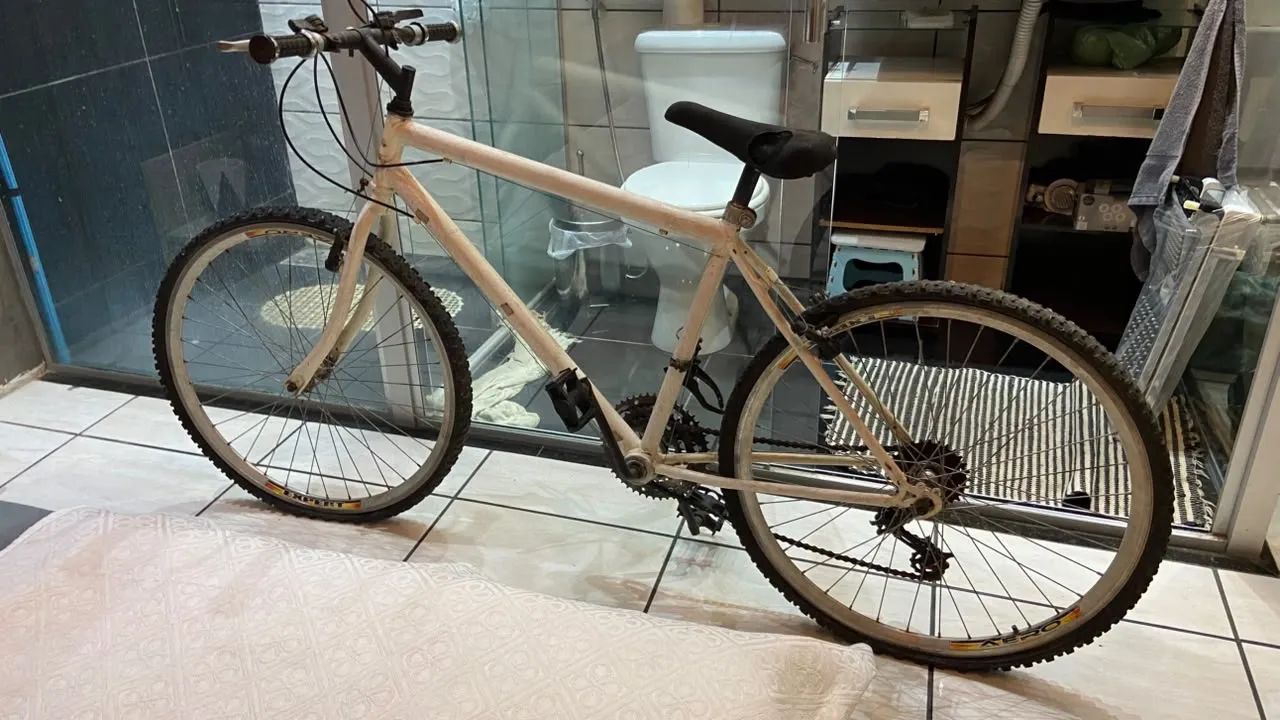 Bicicleta
