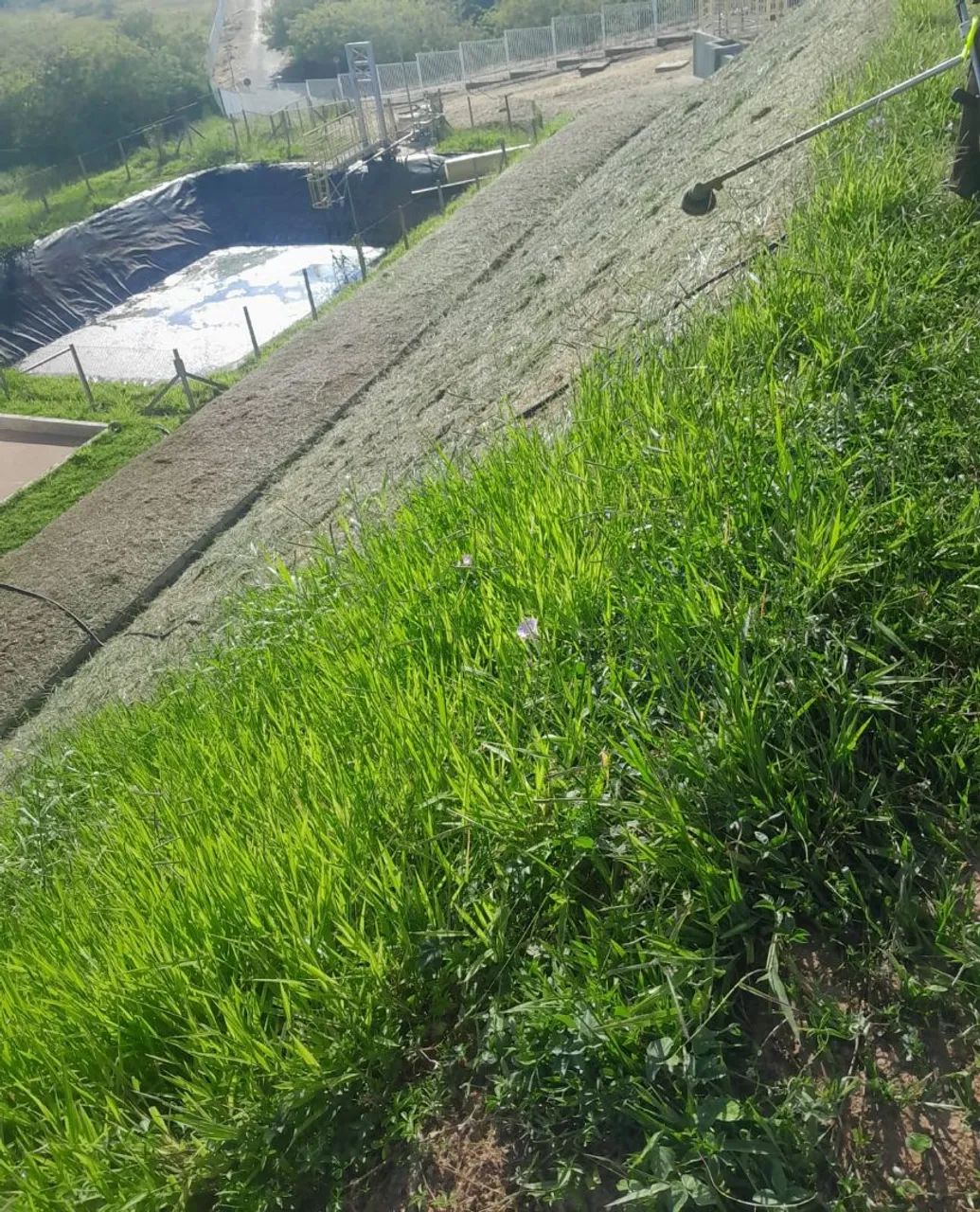 Cortes de grama e podas