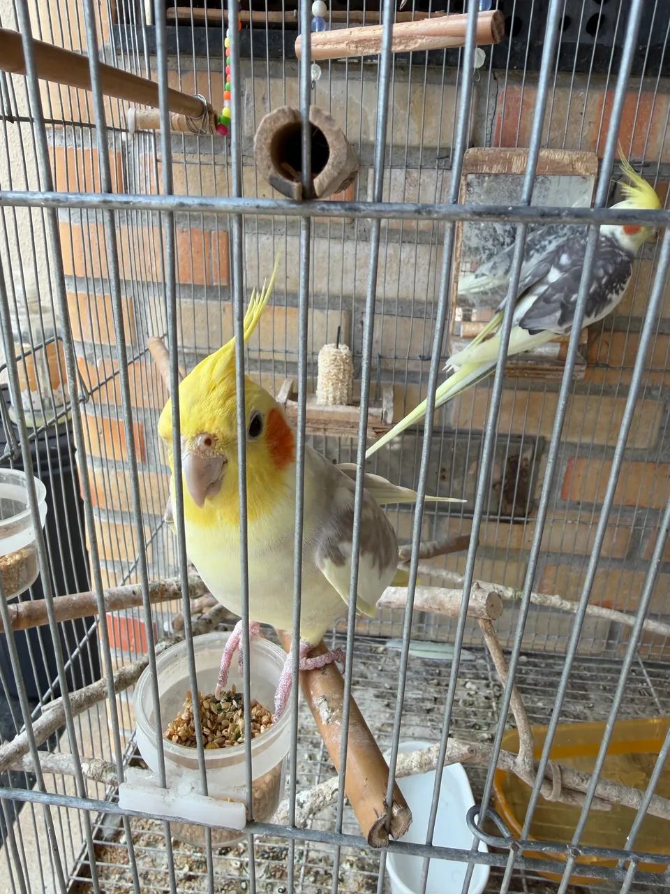 Vendo ou Troco - Foto 2