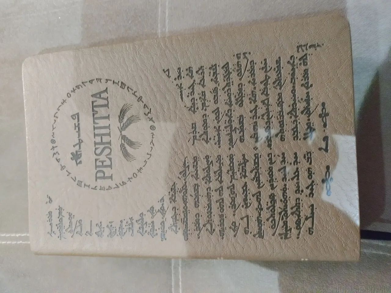 Bíblia sagrada peshitta 