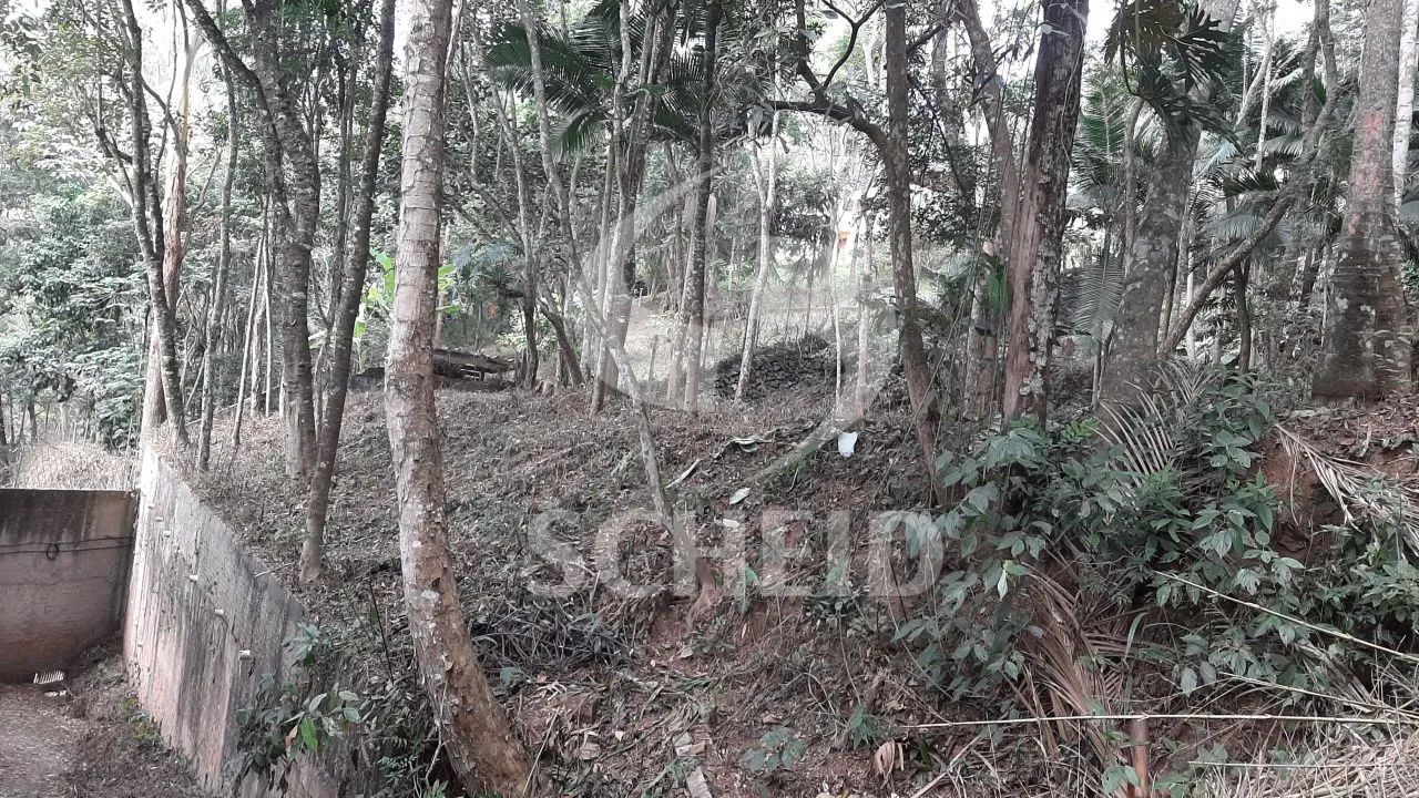 Terreno no Cond. Rural Jardim Iolanda com 2500m2 - Foto 4