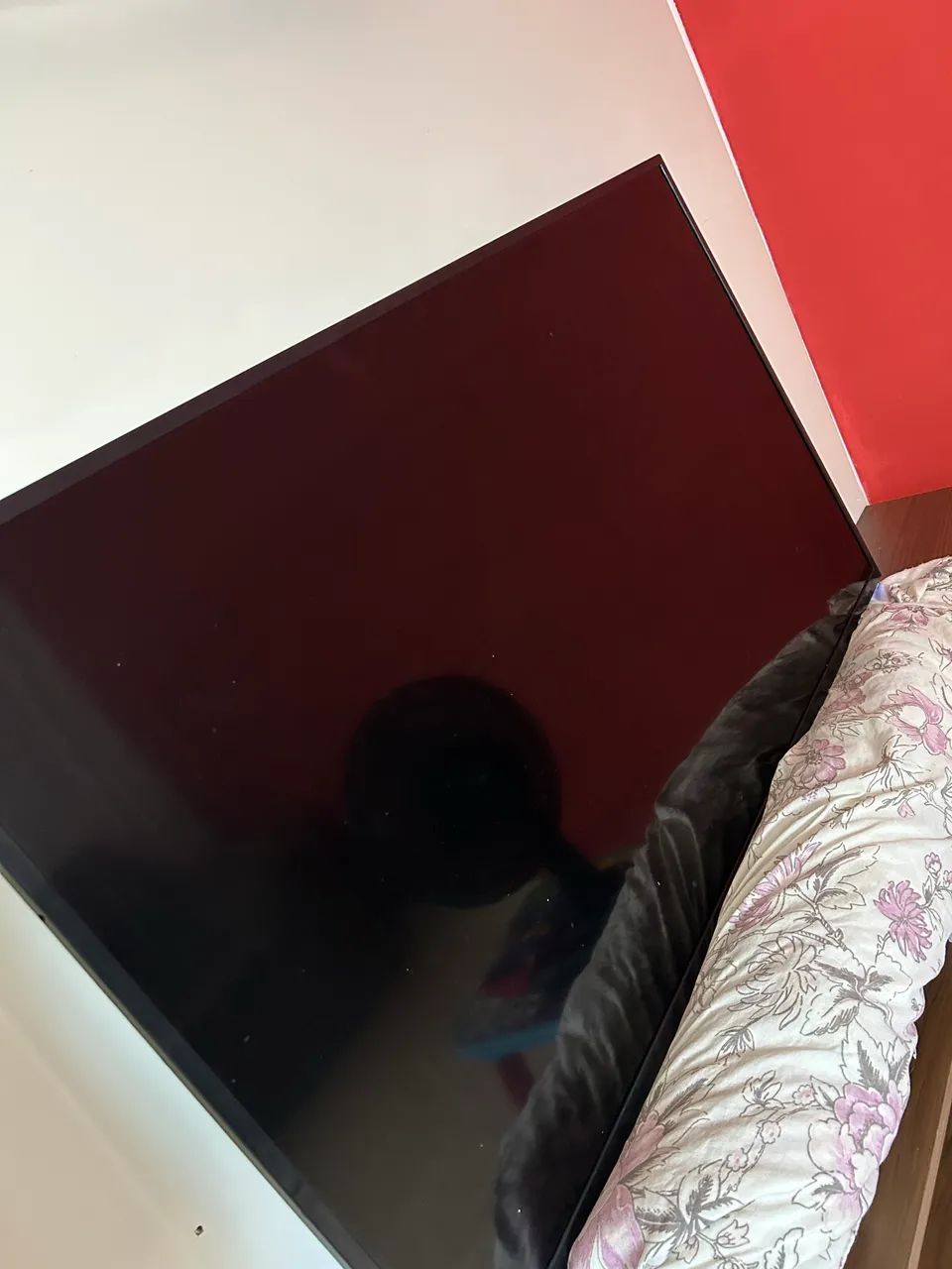 Televisão 