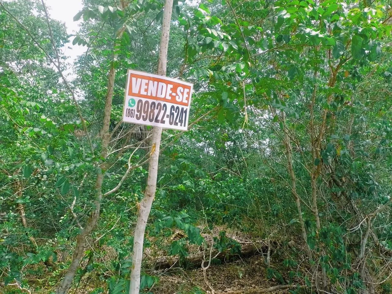 Venda de Terreno  - Foto 2