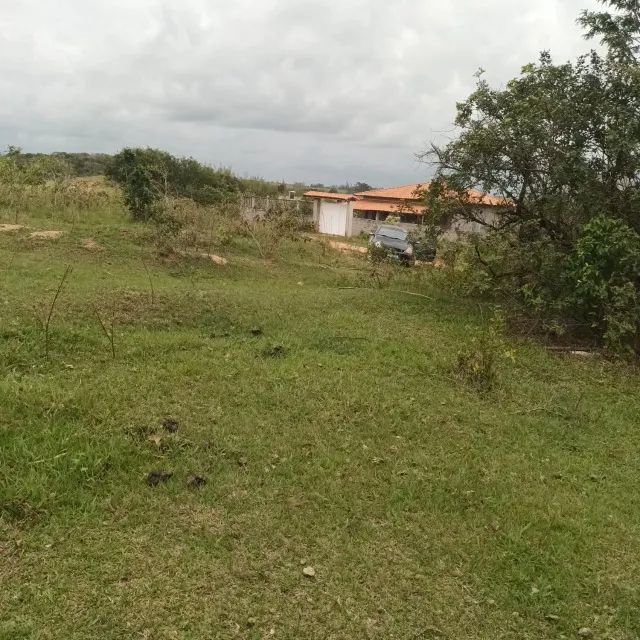 Terrenos - Foto 5