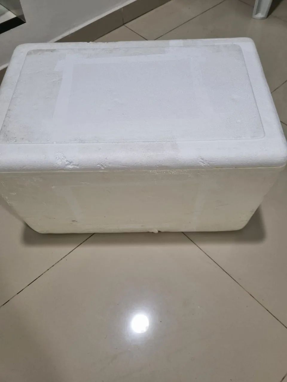 Caixa de Isopor 60L Seminova