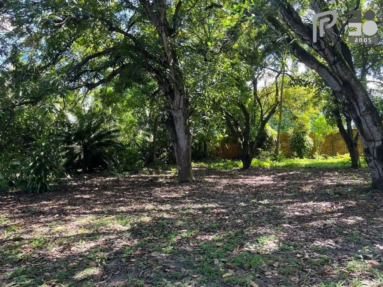 Área à venda, 40.000 m² por R$ 8.000.000,00 - Maiobinha - São Luís/MA - Foto 5