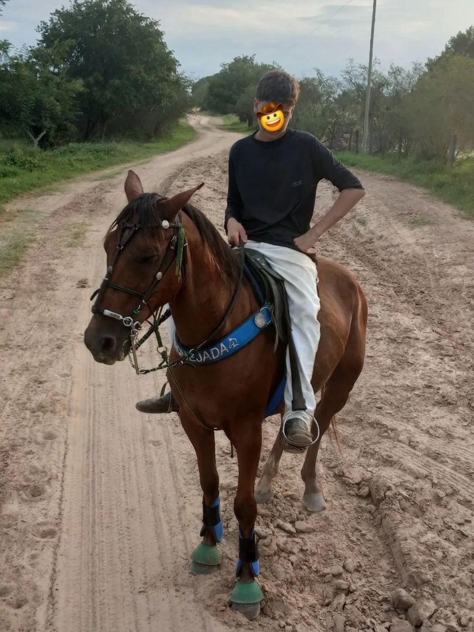 Cavalo quarto de milha de vaquejada  - Foto 3