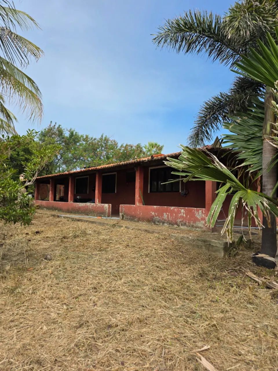 Sítio em Aquiraz - 5.500m² - Foto 3