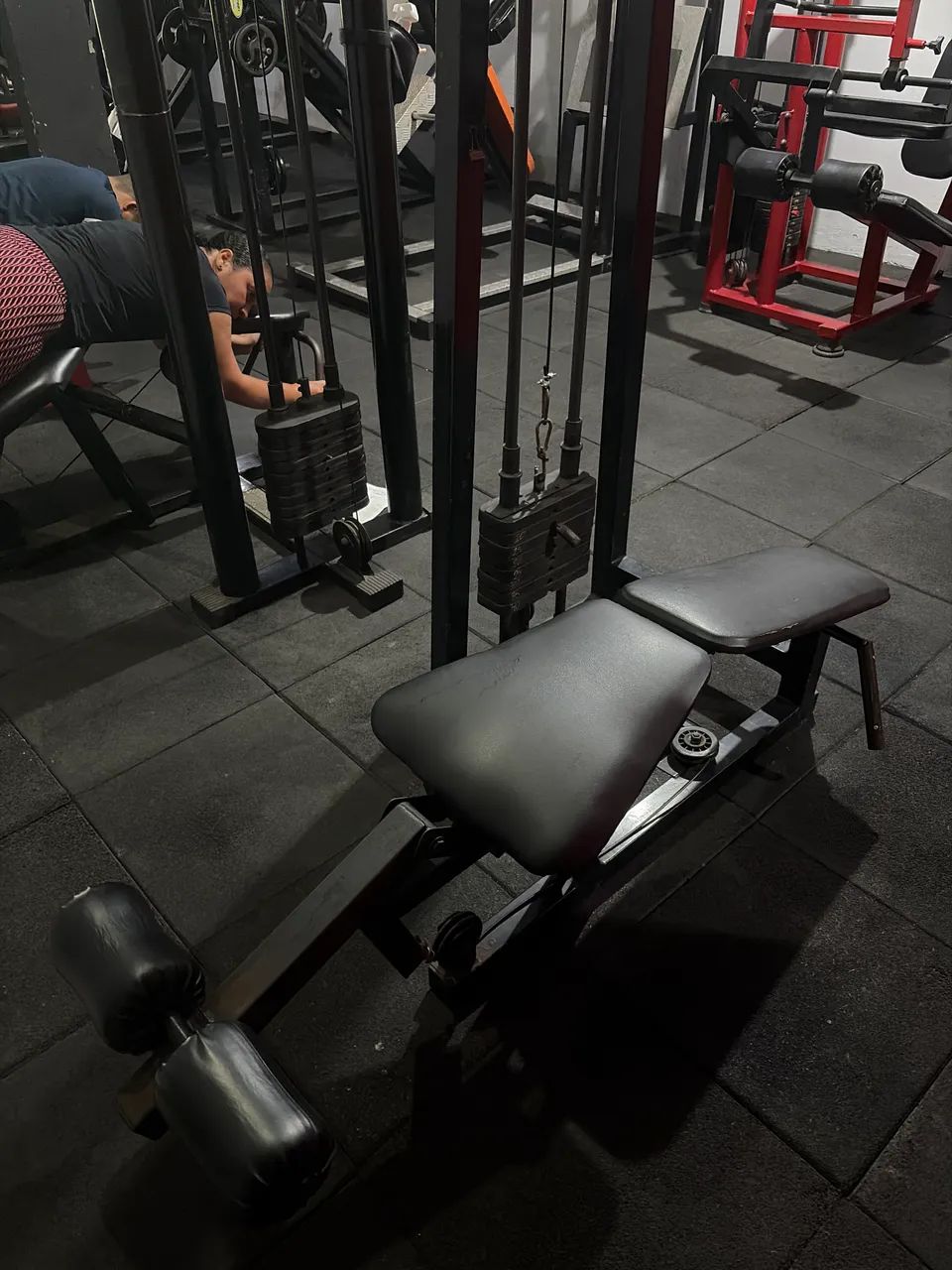 Mesa flexora 