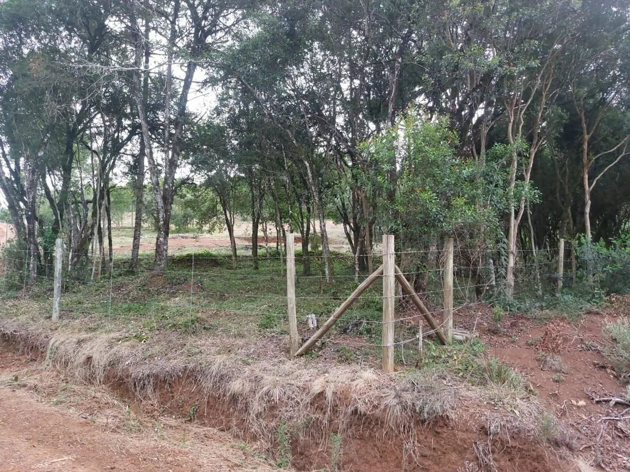 TERRENO LAGES +3500M² PRONTO PARA CONSTRUIR - Foto 4