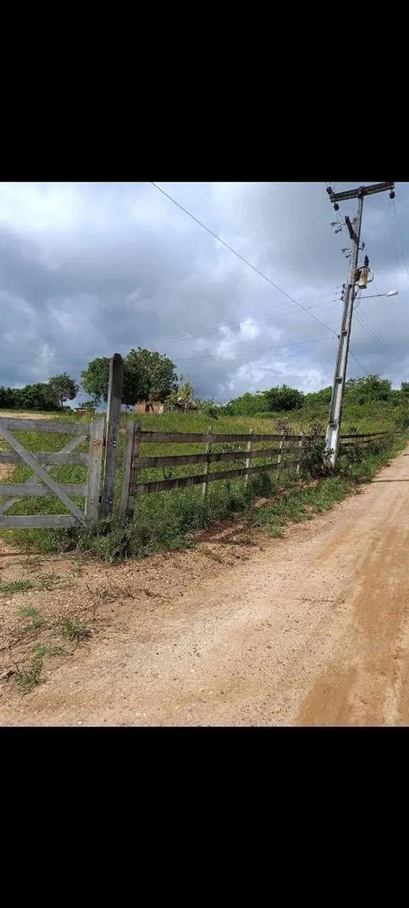 Vende-se sítio  - Foto 4