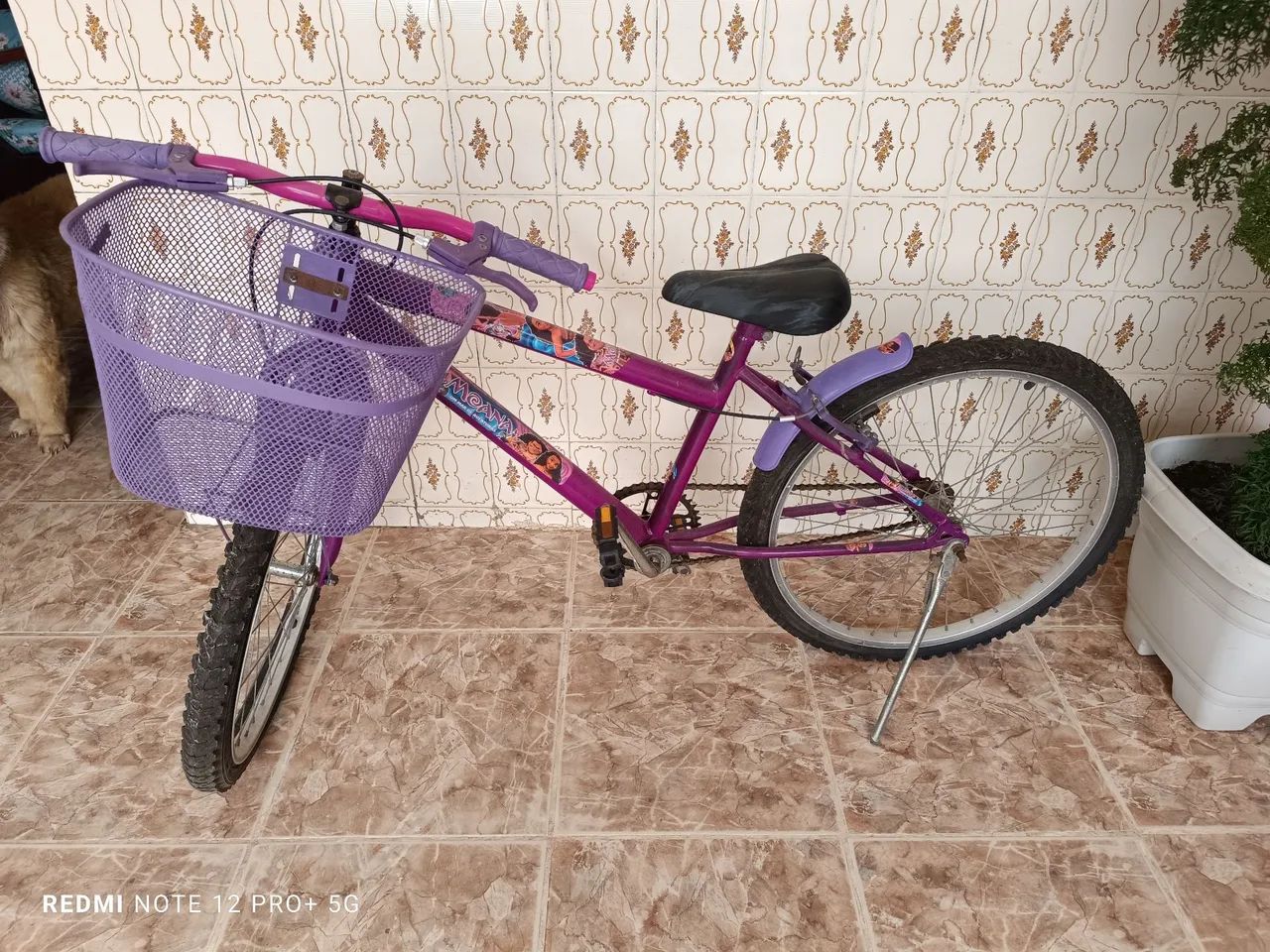 Bicicleta - Foto 3