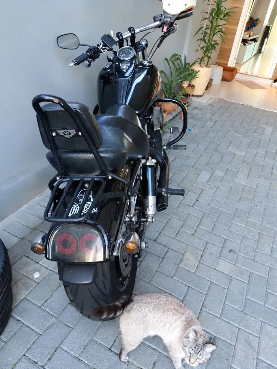 fat bob - Foto 3