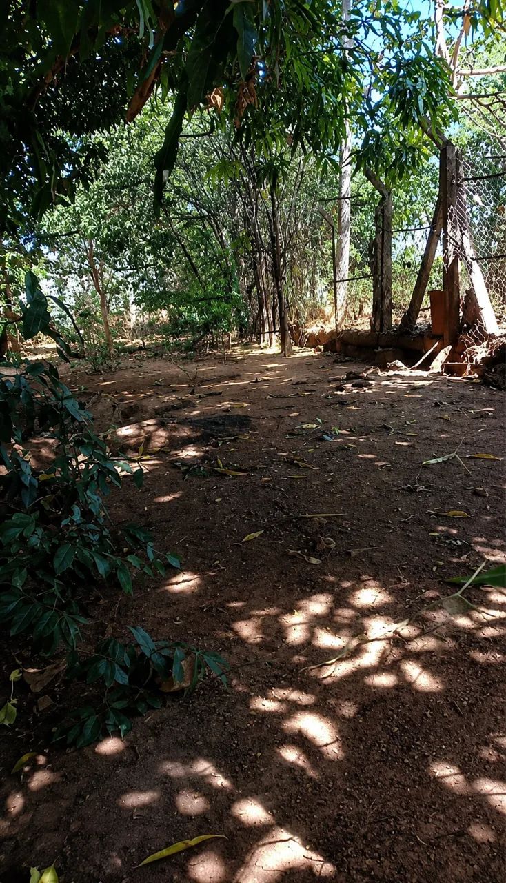 Vende- se lote - Foto 2