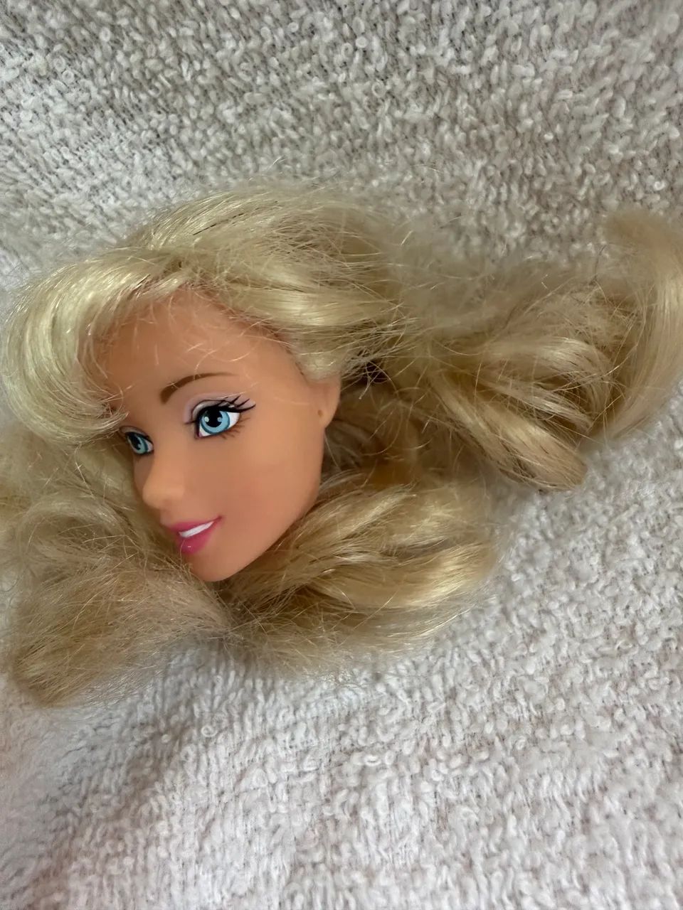 Cabeça Barbie Disney 