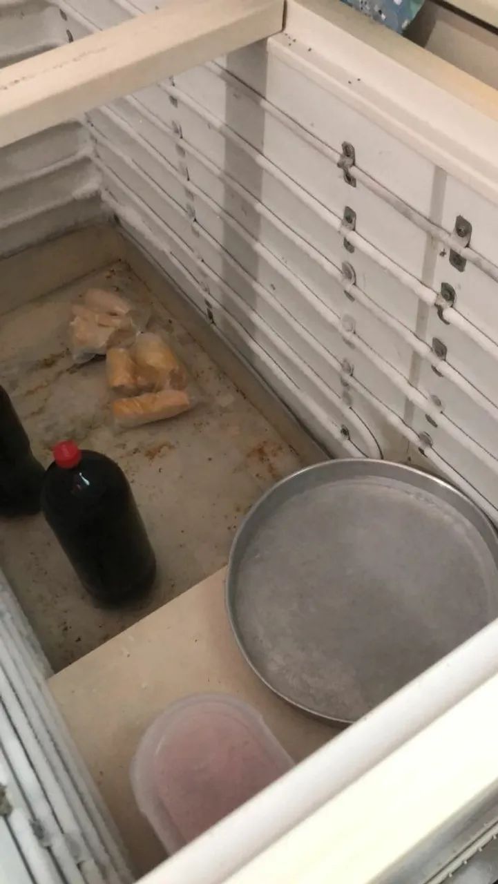 FREEZER  - Foto 4