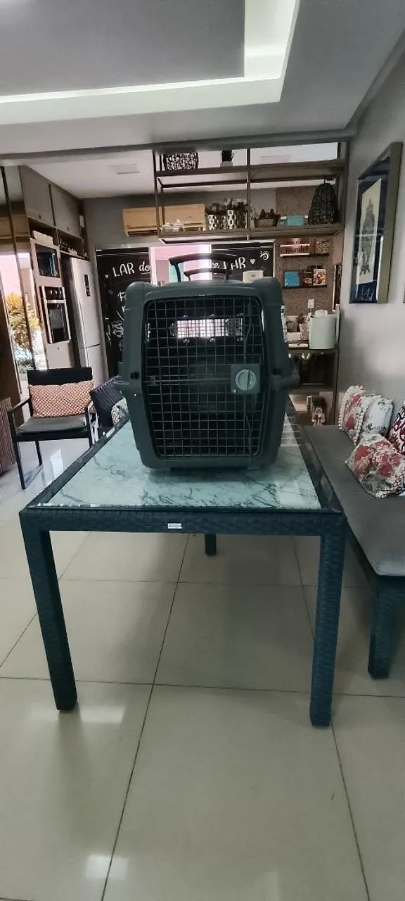 Casa de transporte Pet - Foto 4