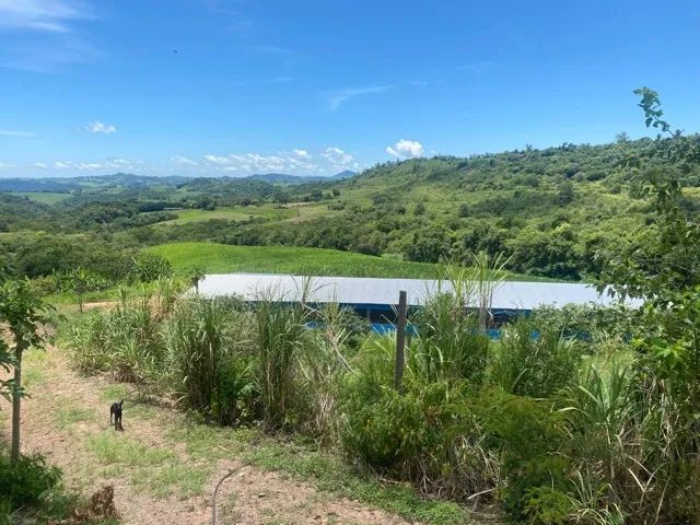 Sitio 8.8 Hectare. 990.000 mil