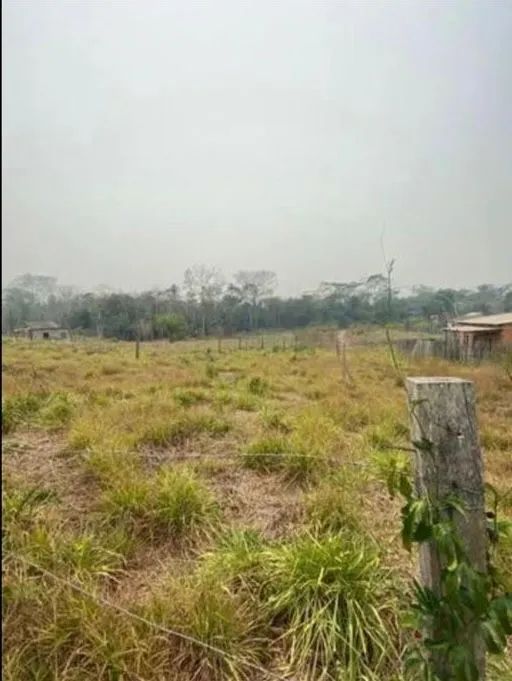 Vendo terreno no Floresta - Foto 3