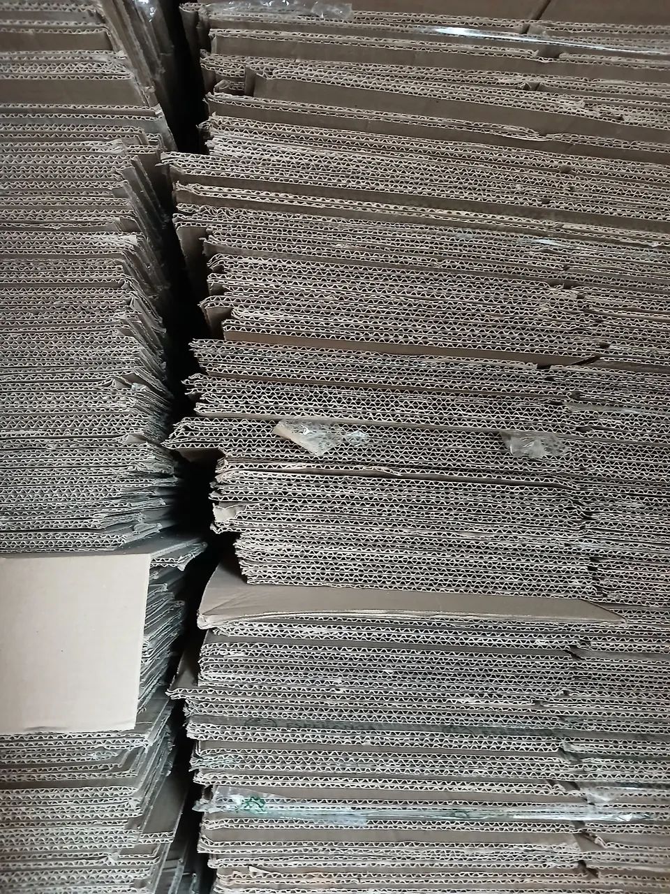 1.000 caixas de papelão  - Foto 3