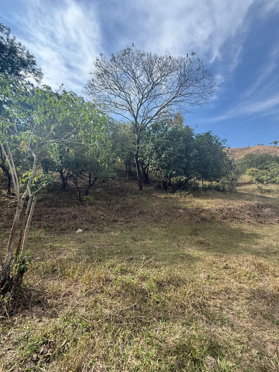Terreno no Tribuna - Ipatinga/MG - 8.5ha - Foto 2
