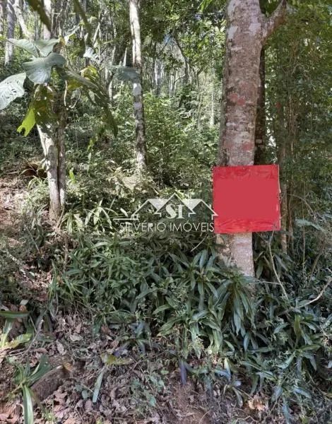 Terreno- Petrópolis, Araras - Foto 4