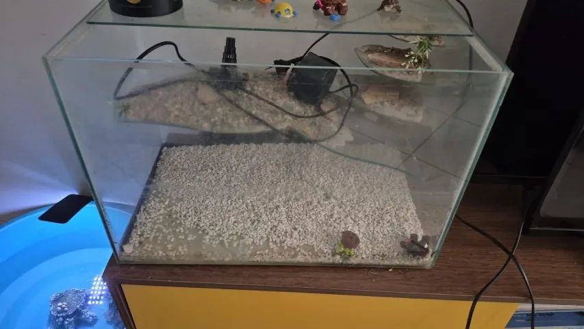 Aquário com terrário  - Foto 2