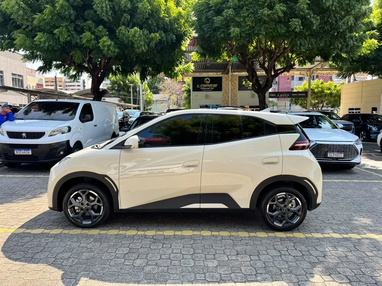 BYD Dolphin Mini (Elétrico) 2026 - Foto 4