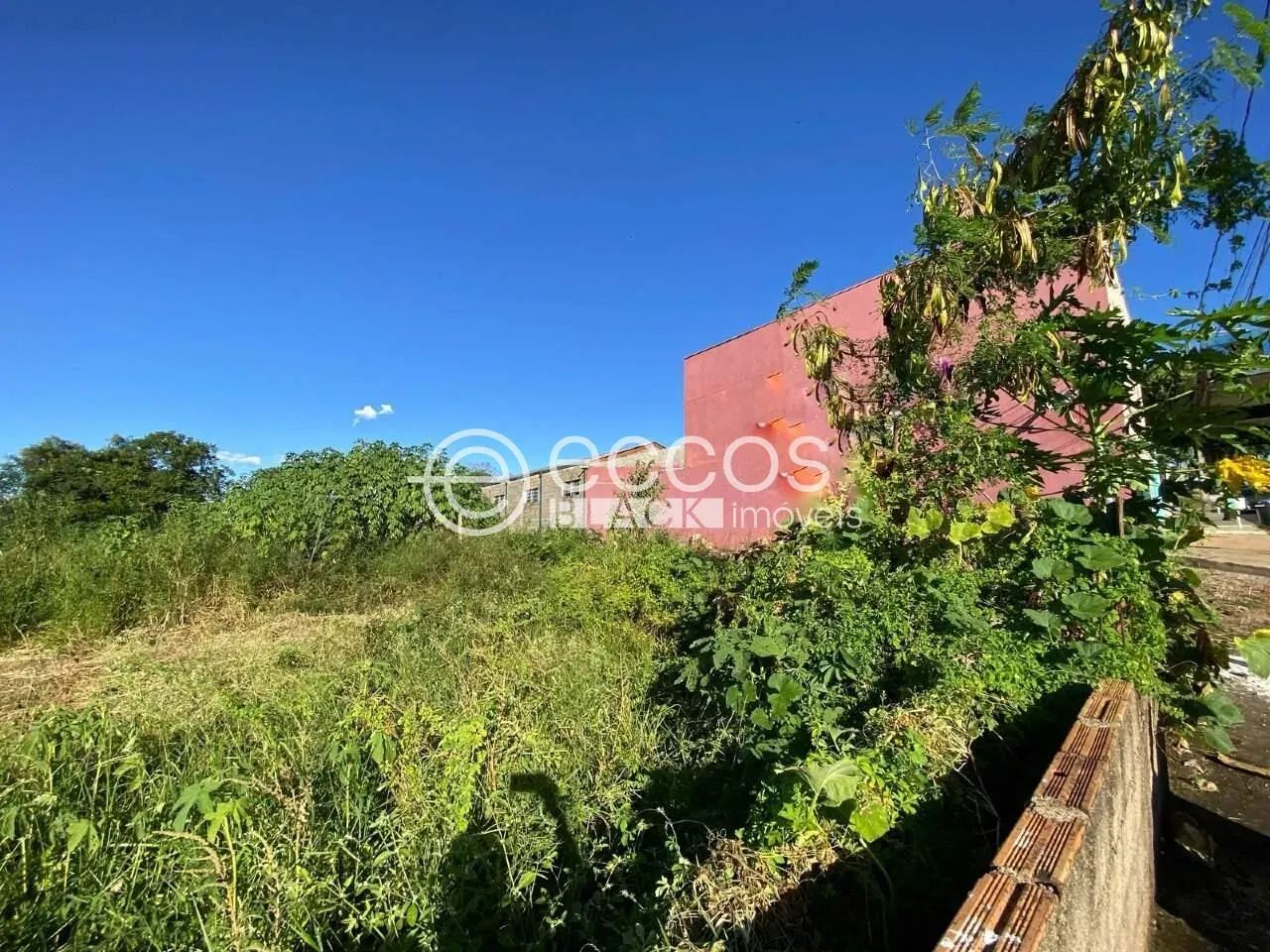 Terreno à venda, FABRÍCIO - UBERABA/MG - Foto 2