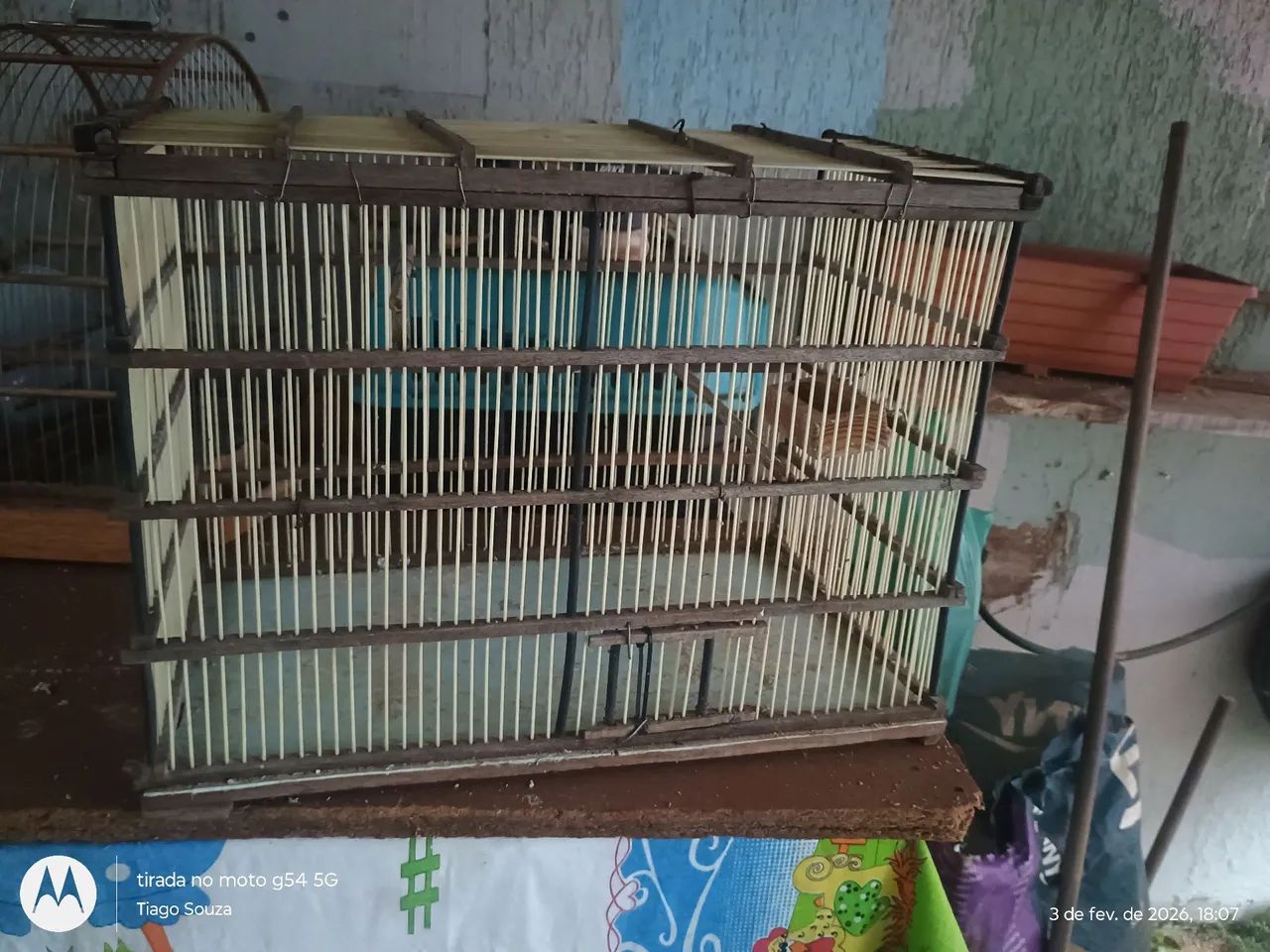 Canary/Seed Finch Cages