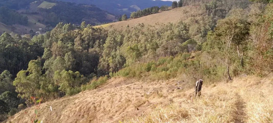 Lindo sitio de 35.000m2 no Sul de Minas!! Delfim Moreira MG - Foto 3