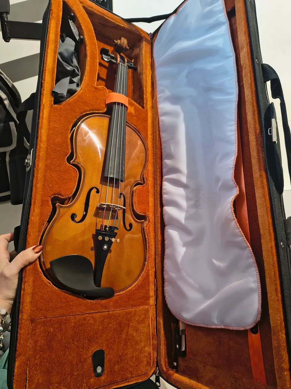 Violino Eagle, montado em ébano, modelo ve441 + Case, Breu e Arco/Ajustado por um Luthier - Foto 3