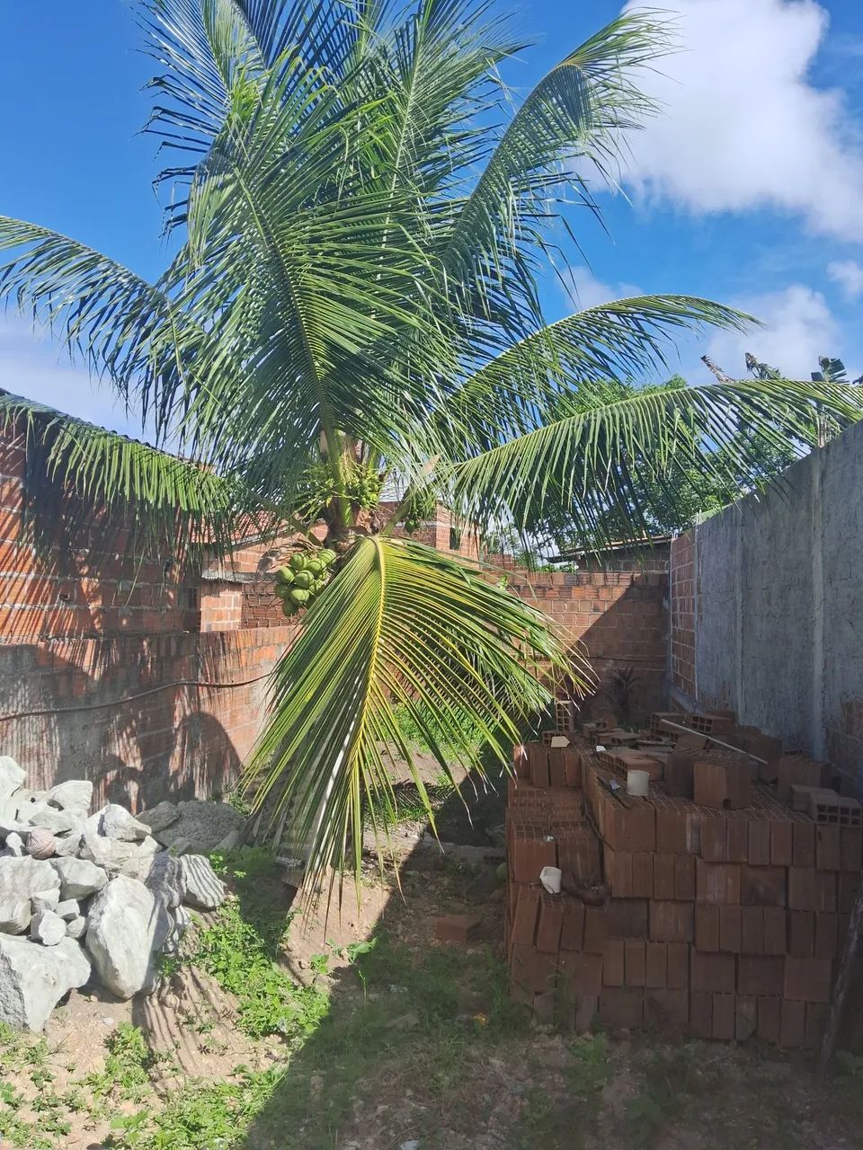 Vende-se casa com 2 terrenos - Foto 5