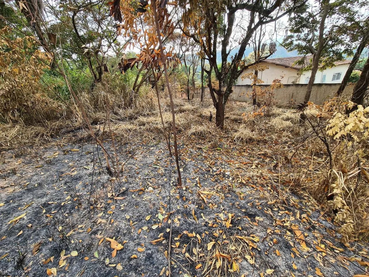 Lote Vale das Acácias 