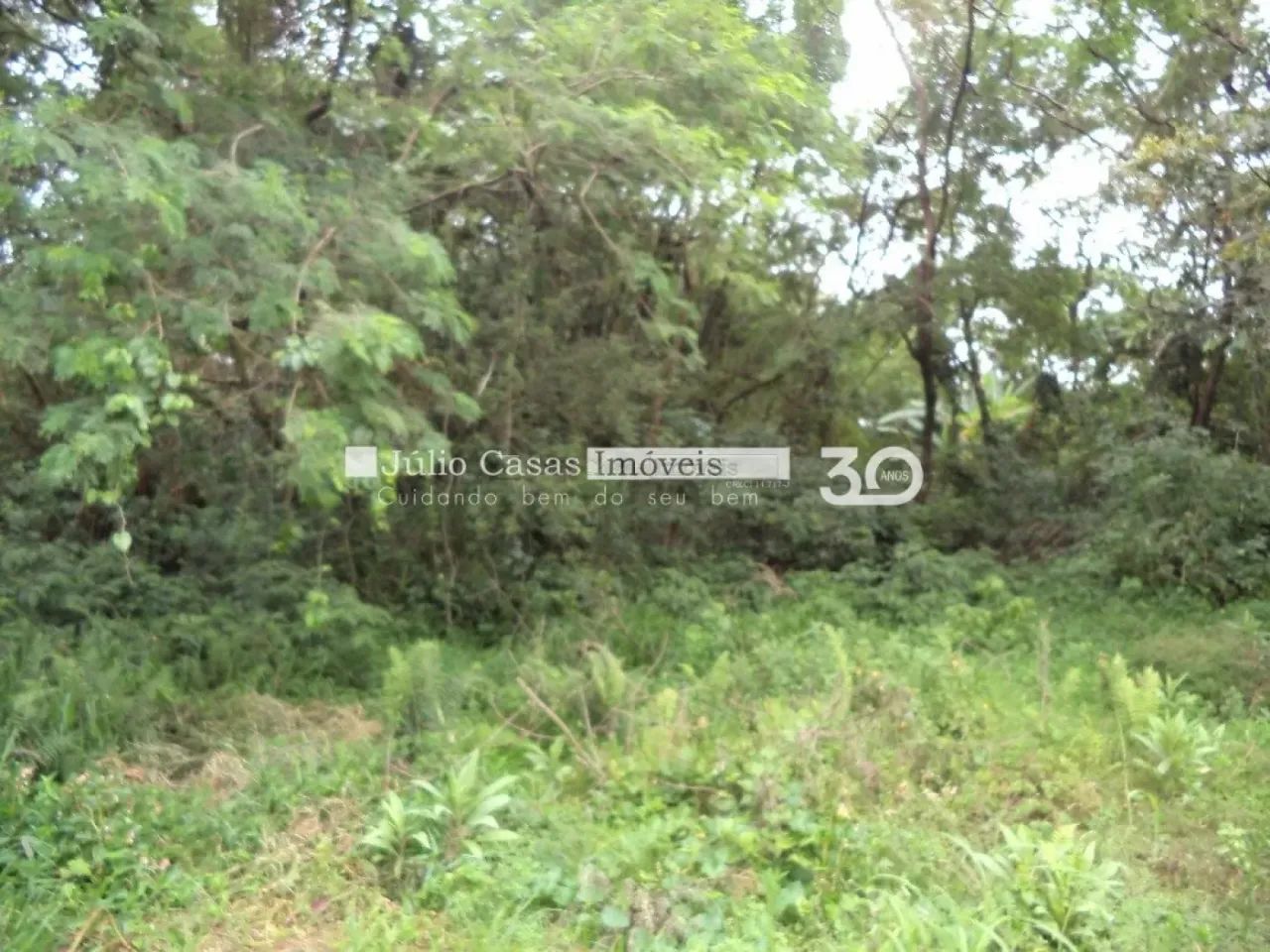 Terreno a venda próximo Joao Wagner Wey - Foto 4