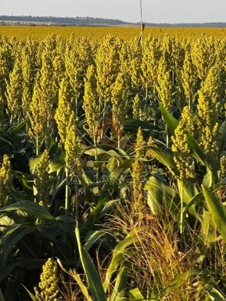 Fazenda - Prata - Zona Rural - Foto 4