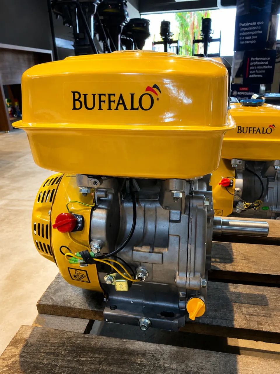 BFG 9.0 BUFFALO - Foto 2