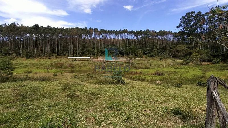 FAZENDA FORMADA PARA GADO DE CORTE E LEITE EM LORENA-SP - Foto 2
