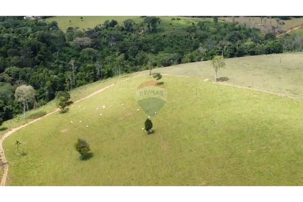 FAZENDA PRIMAVERA A VENDA ITAMARAJU BA - Foto 4