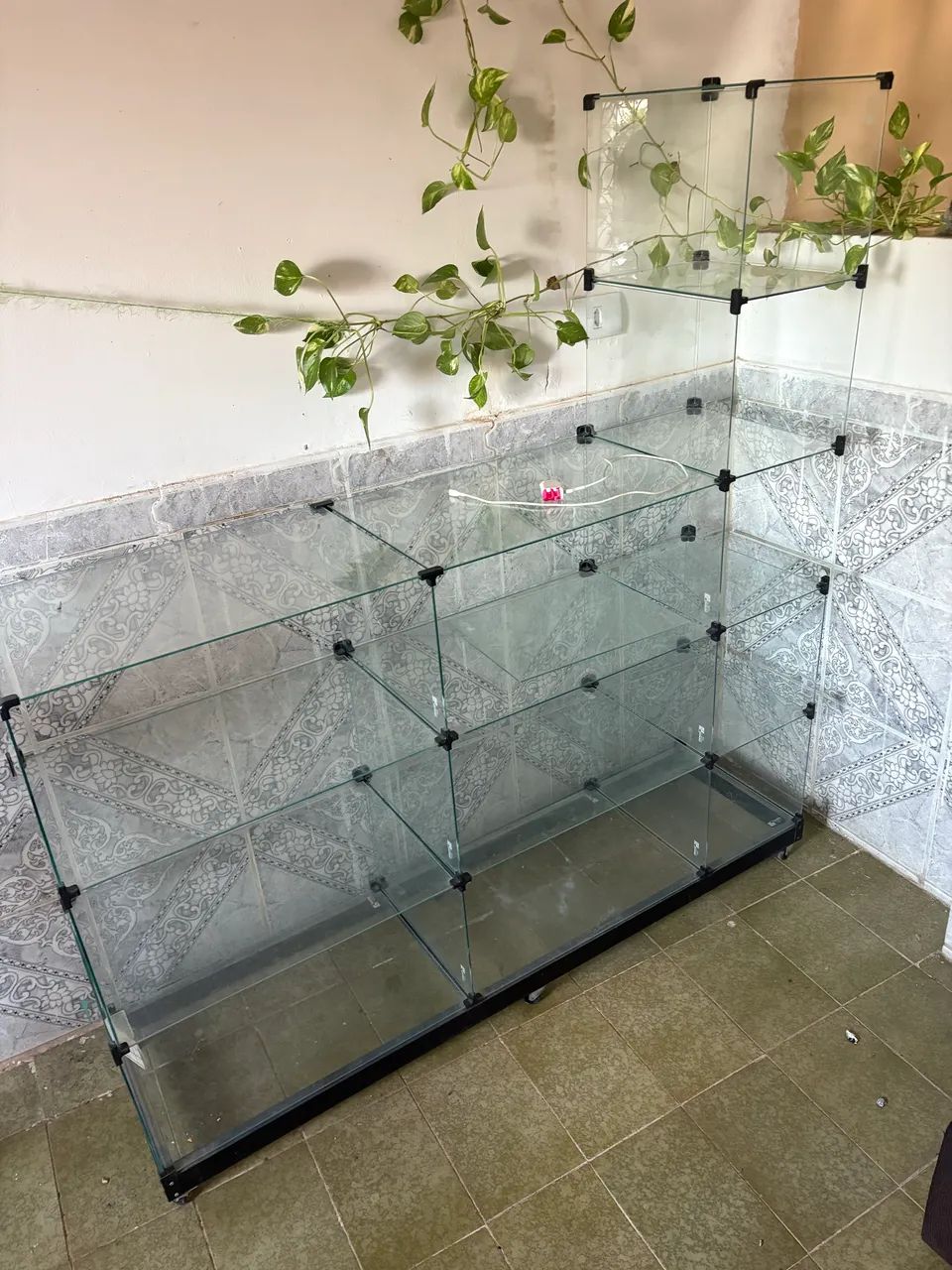 Vitrine balcão 