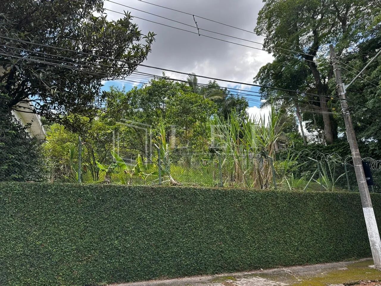R.Rubens do Amaral,S/N - Morumbi - Terreno - Foto 3