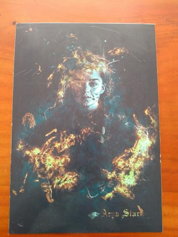 Quadro decorativo Arya Stark