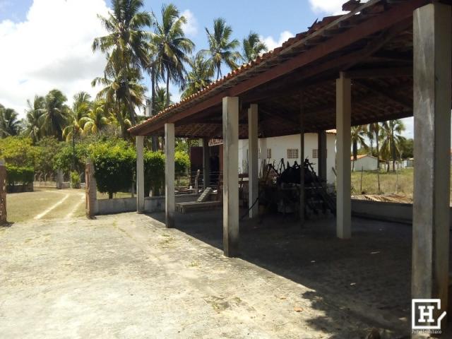 Chácara à venda - no robalo - Foto 12