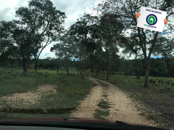 Sitio região do sucuri - Foto 16