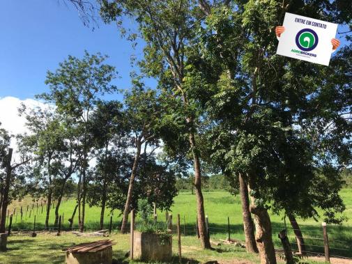 Sítio 28,7 ha no cinturão verde - Foto 12