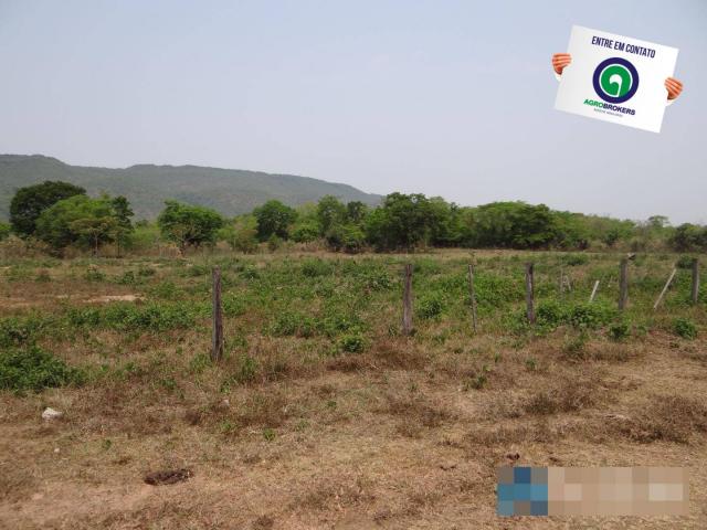 Fazenda 1.970ha - Foto 14