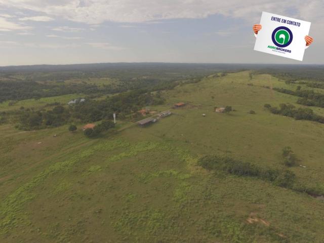 Fazenda 970 ha na beira do asfalto estrada de cáceres - Foto 5